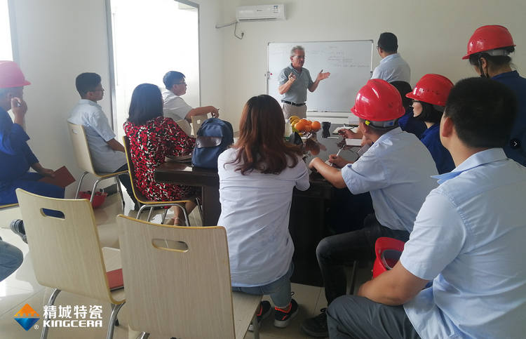 湖南31399金沙娱场城特邀意大利专家举行质量治理培训