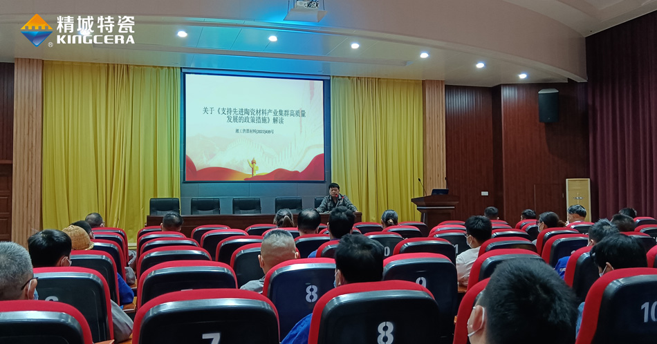 31399金沙娱场城组织学习《支持先进陶瓷质料工业集群高质量生长的政策步伐》