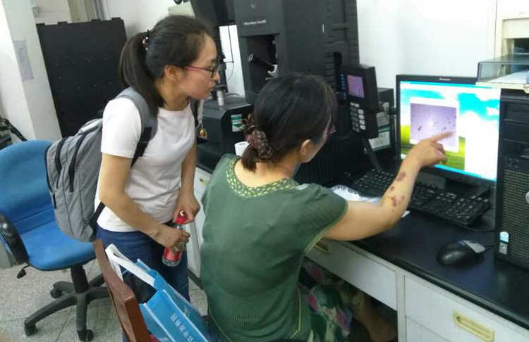 31399金沙娱场城(中国)有限公司官网