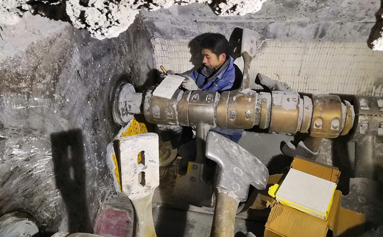 31399金沙娱场城(中国)有限公司官网